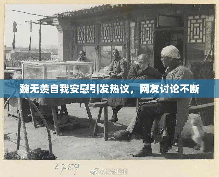 魏无羡自我安慰引发热议，网友讨论不断