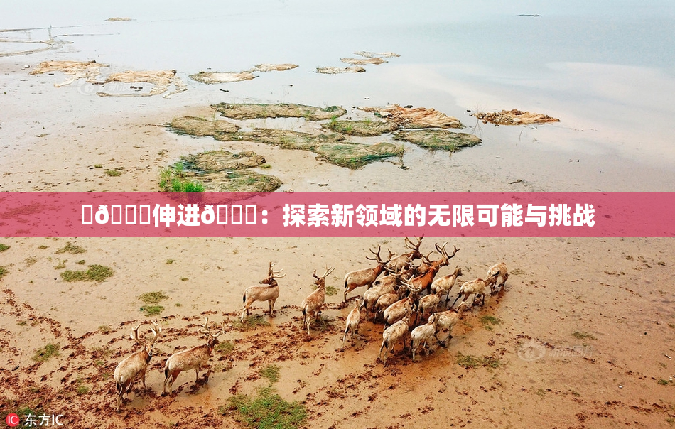 ‌🍌伸进🍑：探索新领域的无限可能与挑战