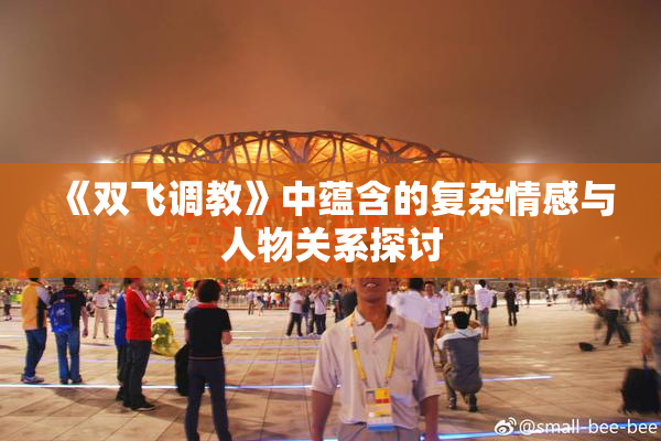 《双飞调教》中蕴含的复杂情感与人物关系探讨