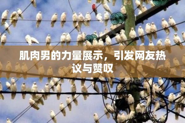 肌肉男的力量展示，引发网友热议与赞叹