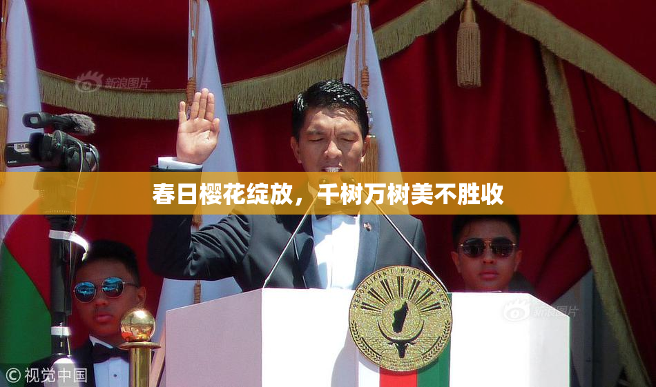 春日樱花绽放，千树万树美不胜收