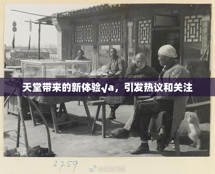 天堂带来的新体验√a，引发热议和关注