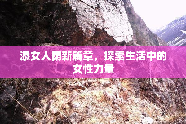 添女人荫新篇章，探索生活中的女性力量