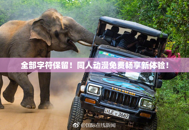 全部字符保留！同人动漫免费畅享新体验！