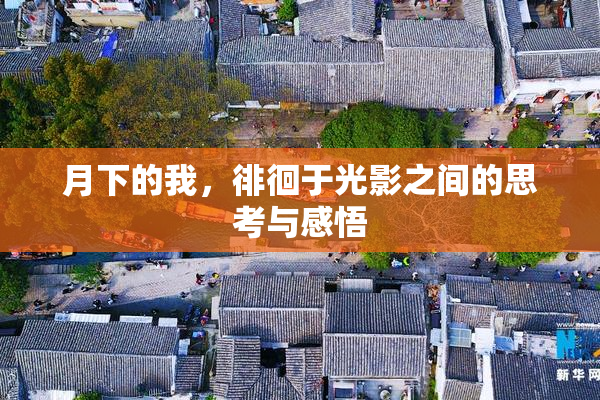 月下的我，徘徊于光影之间的思考与感悟
