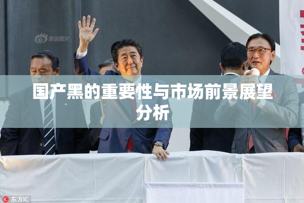 国产黑的重要性与市场前景展望分析