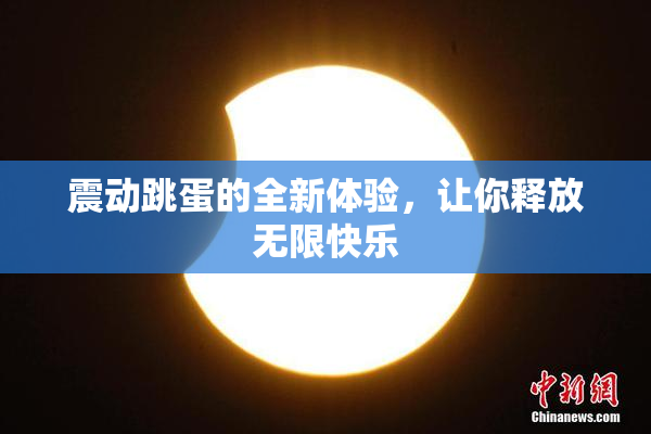 震动跳蛋的全新体验，让你释放无限快乐