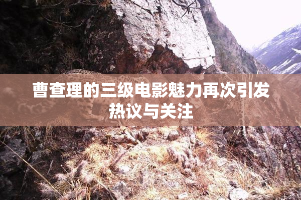 曹查理的三级电影魅力再次引发热议与关注