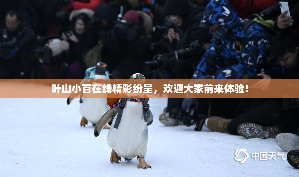 叶山小百在线精彩纷呈，欢迎大家前来体验！