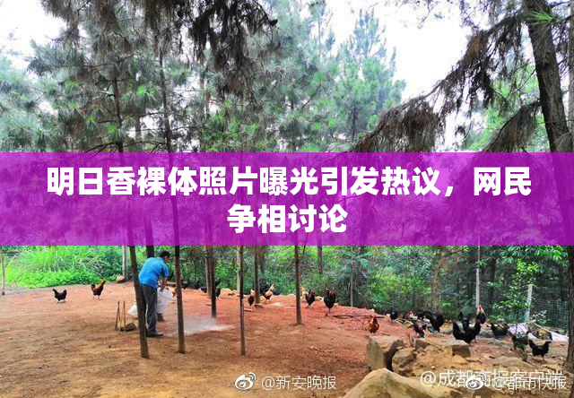 明日香裸体照片曝光引发热议，网民争相讨论