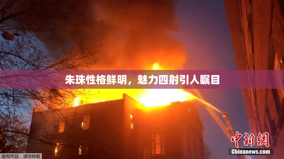朱珠性格鲜明，魅力四射引人瞩目