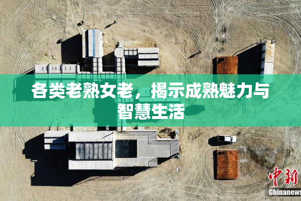 各类老熟女老，揭示成熟魅力与智慧生活