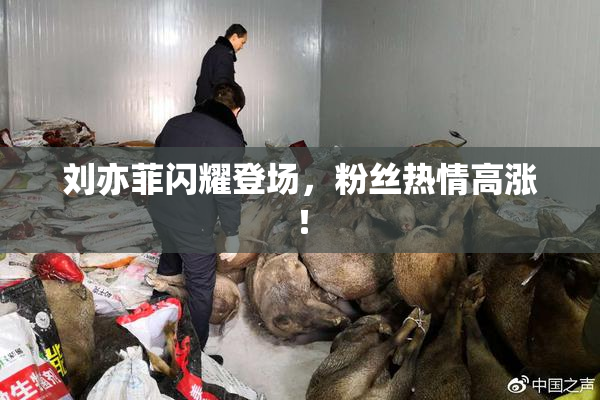 刘亦菲闪耀登场，粉丝热情高涨！