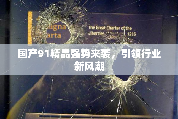 国产91精品强势来袭，引领行业新风潮