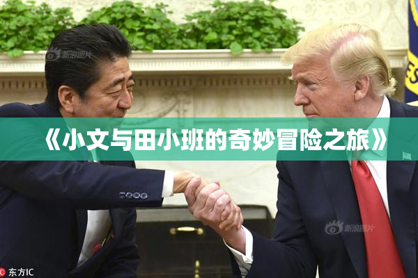 《小文与田小班的奇妙冒险之旅》