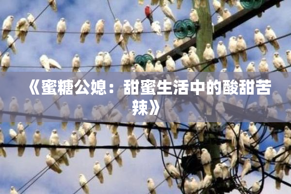 《蜜糖公媳：甜蜜生活中的酸甜苦辣》