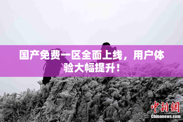 国产免费一区全面上线，用户体验大幅提升！