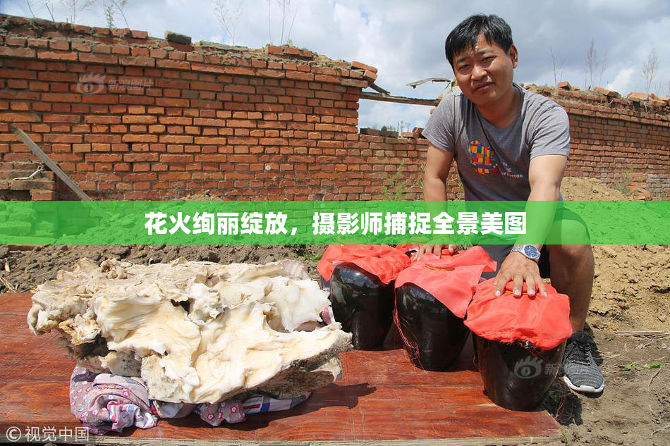 花火绚丽绽放，摄影师捕捉全景美图