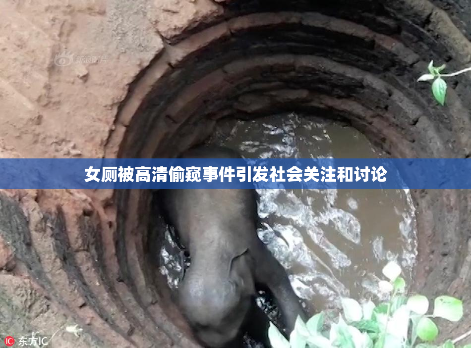 女厕被高清偷窥事件引发社会关注和讨论