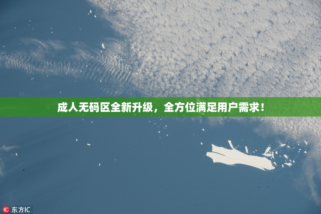 成人无码区全新升级，全方位满足用户需求！