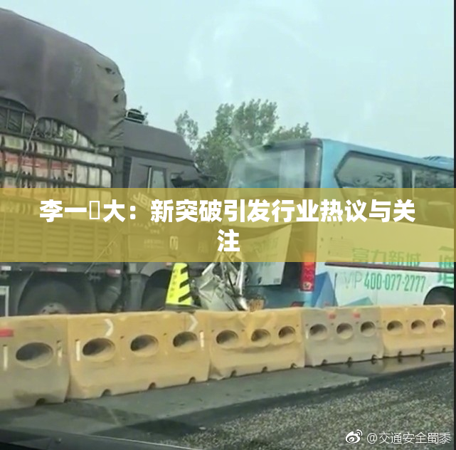 李一挏大：新突破引发行业热议与关注