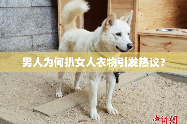 男人为何扒女人衣物引发热议？