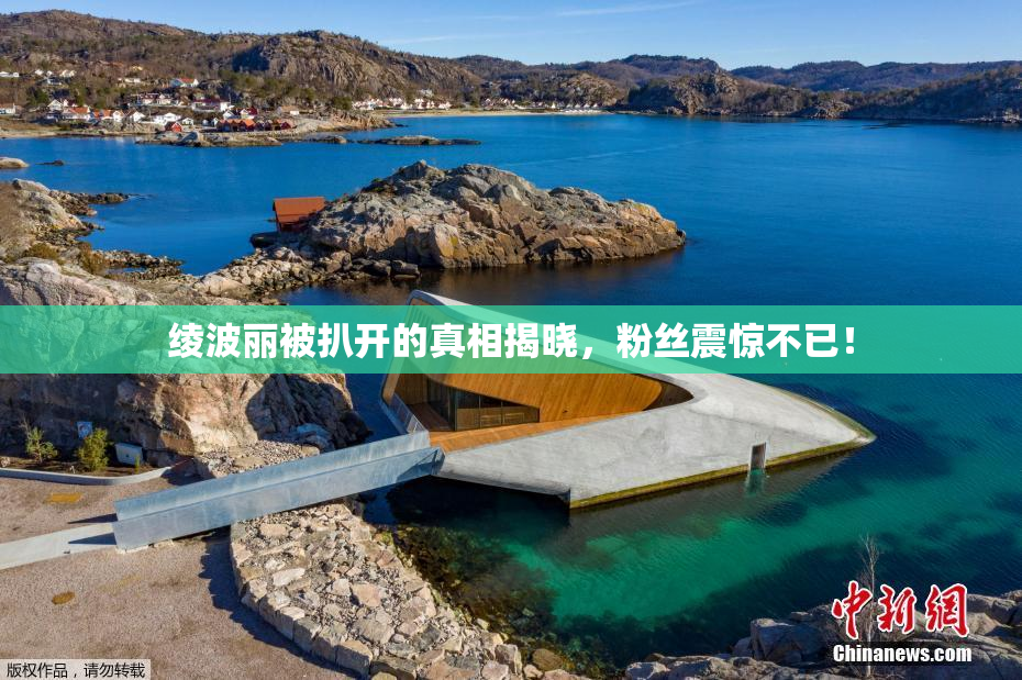绫波丽被扒开的真相揭晓，粉丝震惊不已！