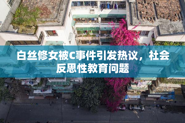 白丝修女被C事件引发热议，社会反思性教育问题