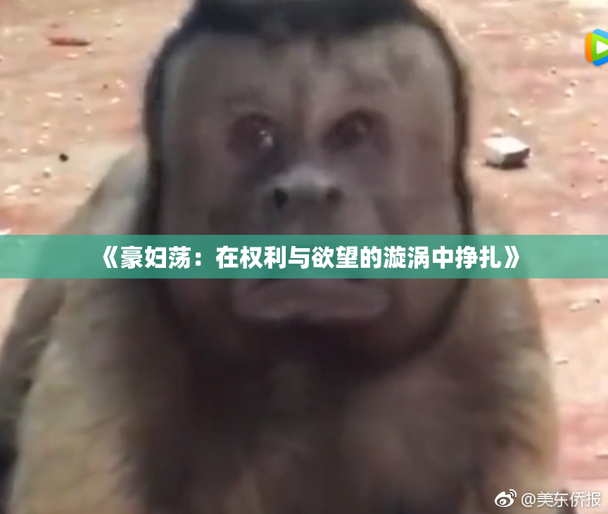 《豪妇荡：在权利与欲望的漩涡中挣扎》