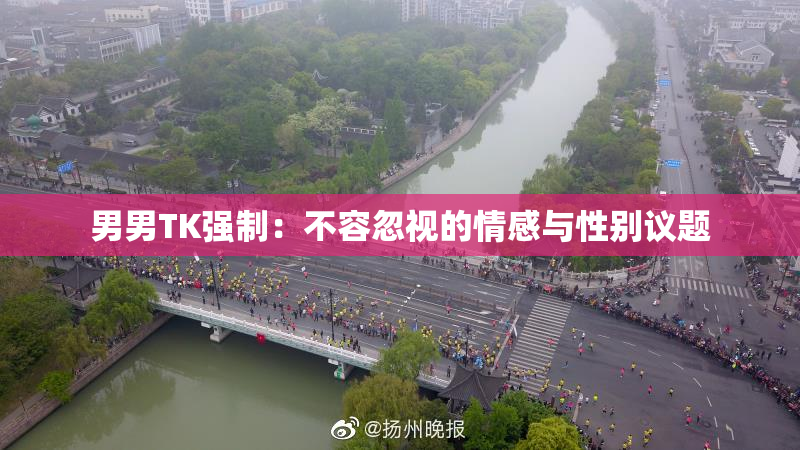 男男TK强制：不容忽视的情感与性别议题