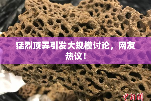 猛烈顶弄引发大规模讨论，网友热议！