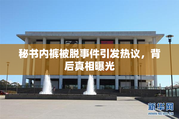 秘书内裤被脱事件引发热议，背后真相曝光