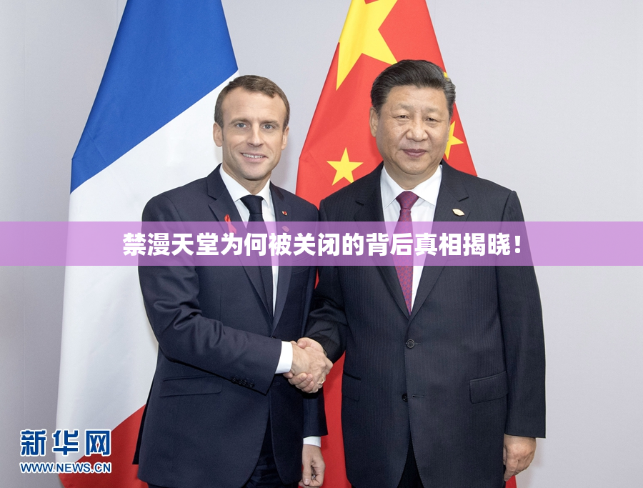 禁漫天堂为何被关闭的背后真相揭晓！