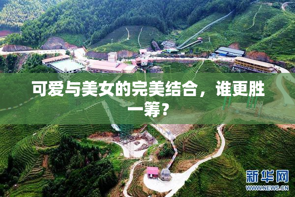 可爱与美女的完美结合，谁更胜一筹？