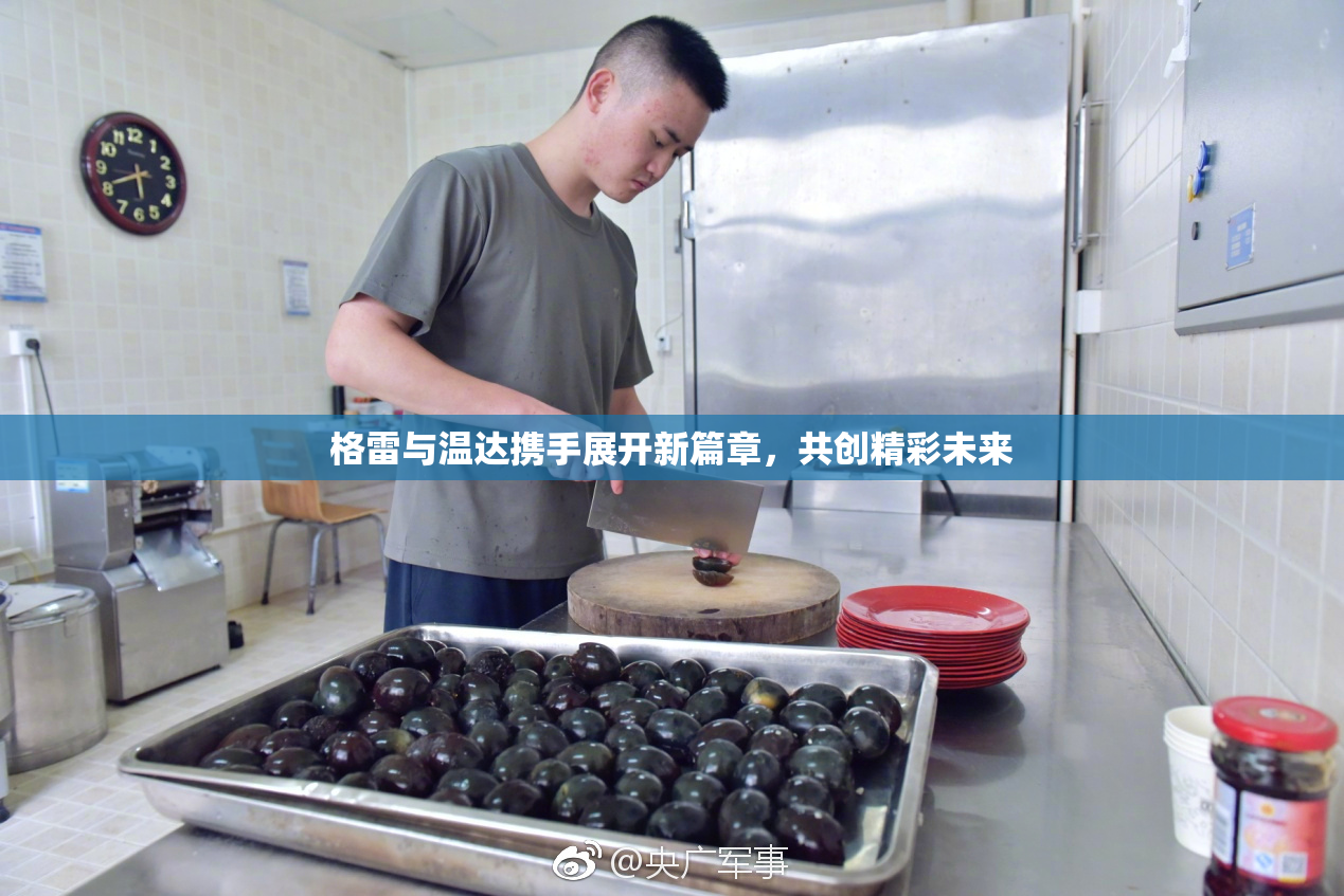 格雷与温达携手展开新篇章，共创精彩未来