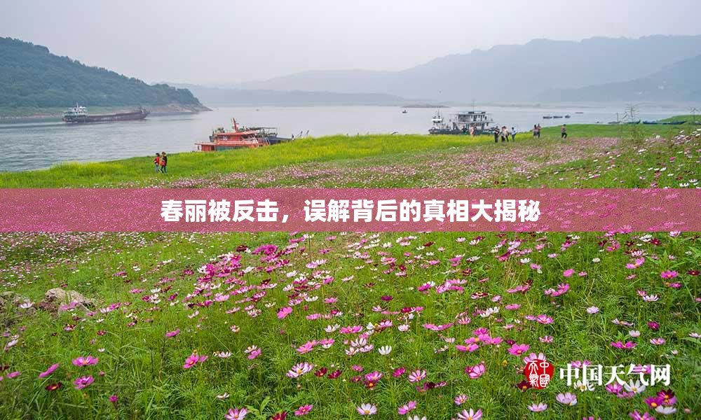 春丽被反击，误解背后的真相大揭秘