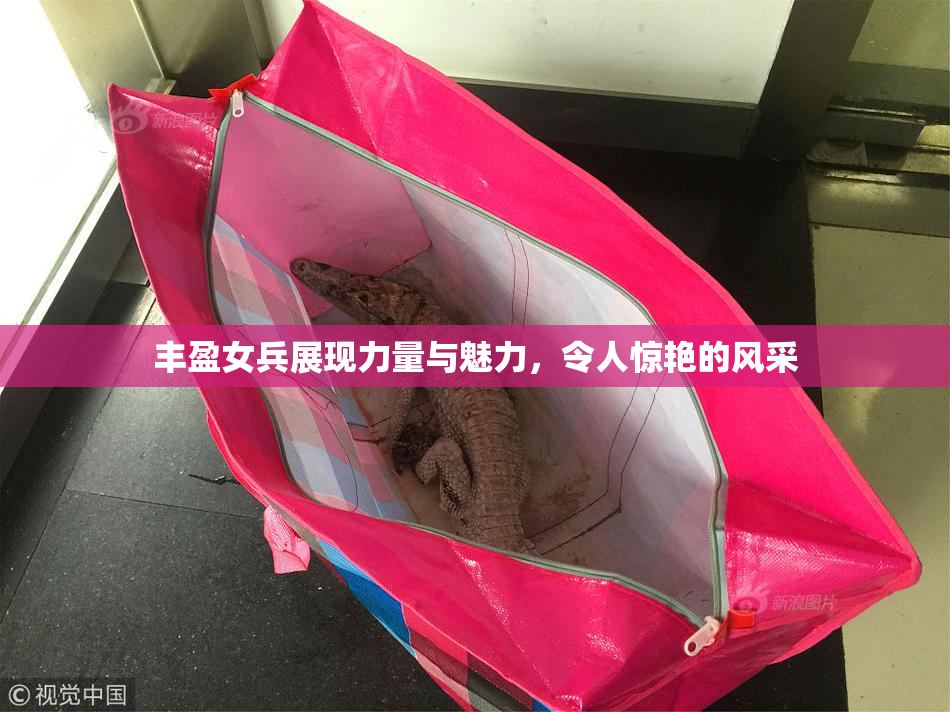 丰盈女兵展现力量与魅力，令人惊艳的风采