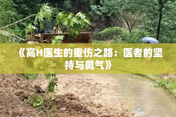 《高H医生的重伤之路：医者的坚持与勇气》