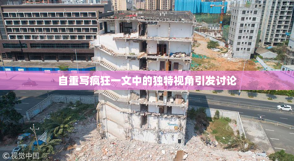 自重写疯狂一文中的独特视角引发讨论