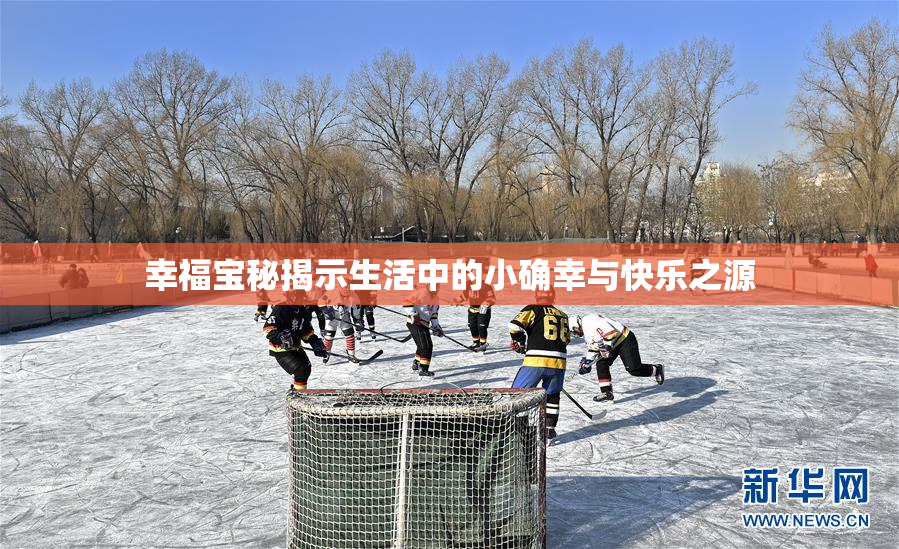 幸福宝秘揭示生活中的小确幸与快乐之源