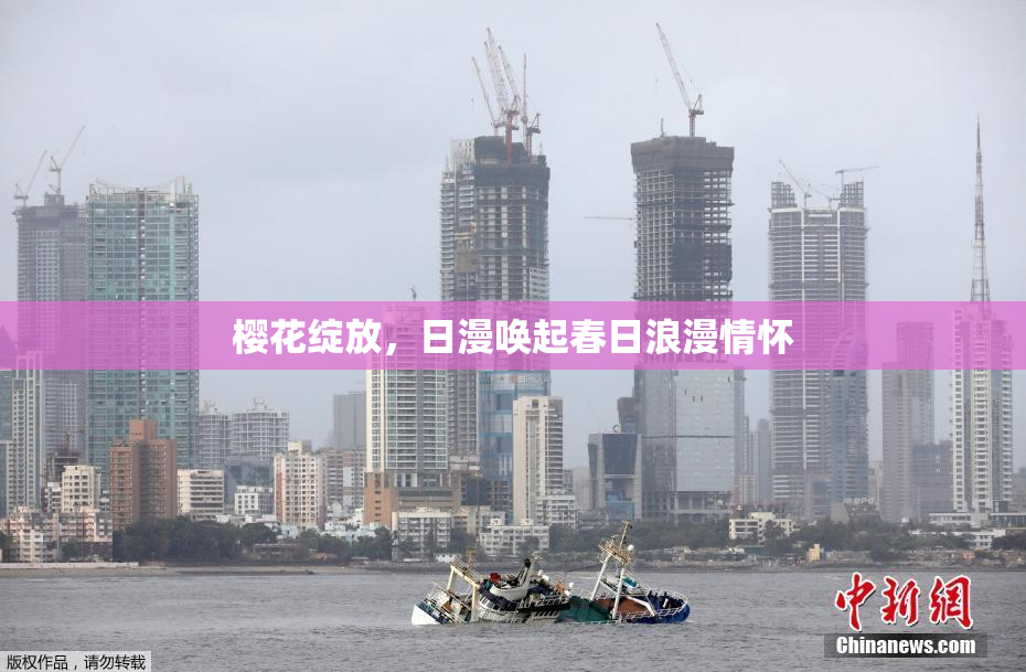樱花绽放，日漫唤起春日浪漫情怀