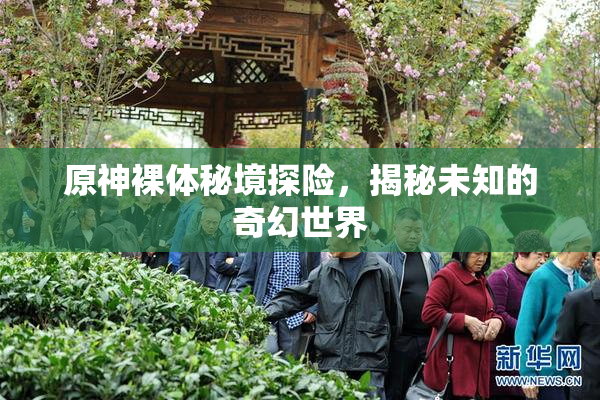 原神裸体秘境探险，揭秘未知的奇幻世界