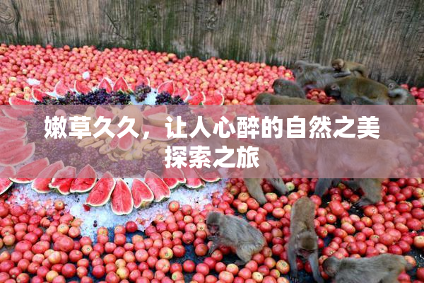 嫩草久久，让人心醉的自然之美探索之旅