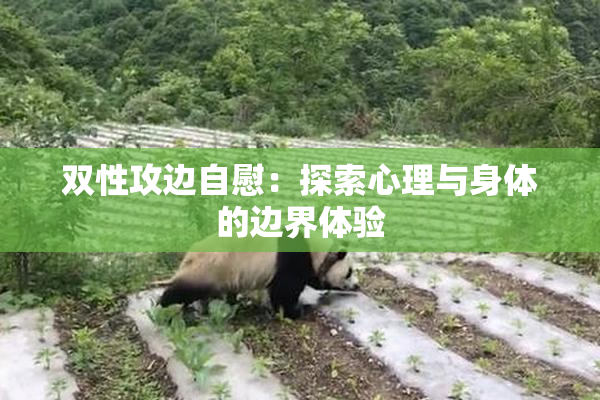 双性攻边自慰：探索心理与身体的边界体验