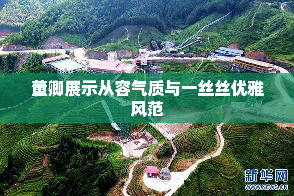 董卿展示从容气质与一丝丝优雅风范