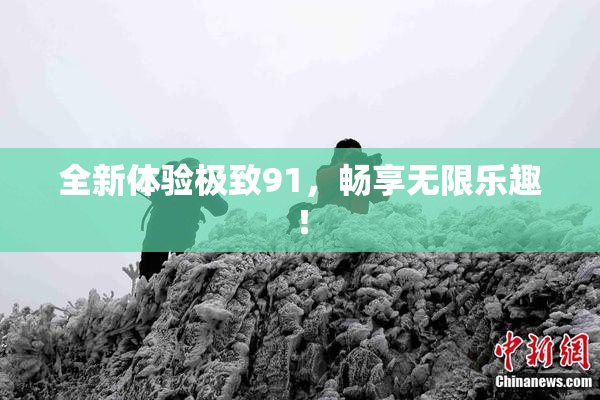 全新体验极致91，畅享无限乐趣！