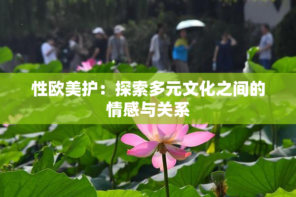 性欧美护：探索多元文化之间的情感与关系