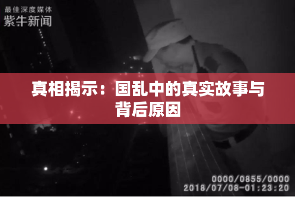 真相揭示：国乱中的真实故事与背后原因