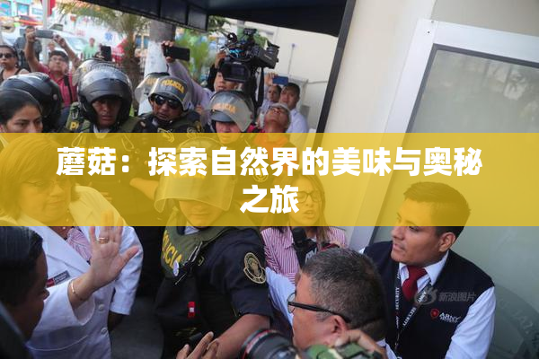 蘑菇：探索自然界的美味与奥秘之旅