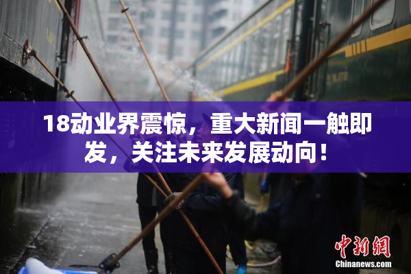 18动业界震惊，重大新闻一触即发，关注未来发展动向！